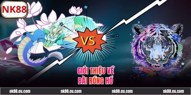 Thông tin cơ bản về Rồng Hổ NK88